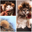 Creative Cute Pet Costume Lion Mane Wig Hat For Dog Cat Funny Halloween Dress Up