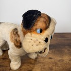 Vtg Steiff Standing Yale Bulldog Fao Schwarz Exclusive 1951 Extremely Rare Read 