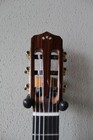 Brand New Cordoba Stage Thinbody Nylon String Acoustic electric Guitar - Amber