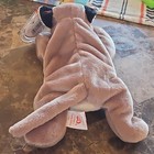 Ty Beanie Babies Canyon The Cougar Beanbag Plush Vintage 1998 Ages 3 