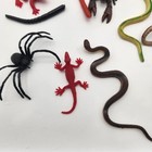 Spiders Snakes Worms Crawfish Frogs Science Nature Toys See Pictures Lot Of 17