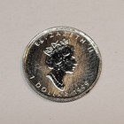 1999 Canada Platinum Maple Leaf Coin 1 20oz Fine  9995 Rare Only 4000 Minted