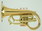 Carolbrass Pocket Flugelhorn   Taylor Phat Puppy - 2025 Polished   Lacquered