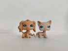 2pcs lot Littlest Pet Shop Figure Lps Cat Dog  1716 228 Kid  Toy New