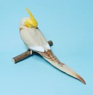 Shine G Tenori Inko Sleep Good Night Gray Cockatiel Bird Mini Figure Us Seller