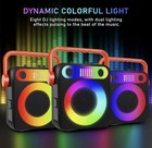 Karaoke Portable Machine Bluetooth Speaker 2 Wireless Microphone W  Strobe Light
