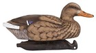  Outdoors Duck Decoy - 14  Full-sized - 12 Pack Classic Mallard - 12-pack