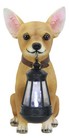 Picante Mexican Chihuahua Dog Decor Path Lighter Statue With Solar Led Lantern