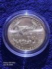  2006 W American Gold Eagle  50 Beautiful Coin In Capsule  Free Ship 