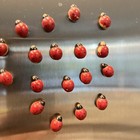 Vintage Wooden Ladybug Fridge Magnet 18 Pieces