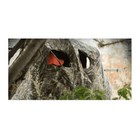 Ameristep Compact One Person Mossy Oak Break Up Country Tent Chair Blind
