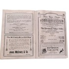 1919 Greenwich Village Follies Nora Bayes Theater Nyc Broadway Program Vintage