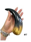 One Small Polished Cow Horn   Real Horn   One Of A Kind   Natural Color    7