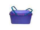 Vintage Eagle Craftstor Sewing Craft Storage Tote Purple Pink Teal 18    Y2k Usa