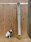 Vintage White Tripod Surveyor Transit Transom Survey Metal 60  With Plumb Bob