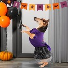 Dog Halloween Costumes Ruffle Dress Pet Small  Medium  Large