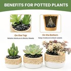 3 8  Smooth Polished Black Pebbles  Decorative Gravel For Plants  Succulents   