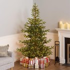 National Tree Company 6 5 Ft Pre-lit Norwegian Spruce Ft  Green