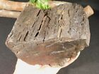 Big Petrified Wood Fossil With Druzy Smoky Quartz Crystals  Jurassic Utah 2939gr