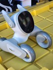 Loona Ai Robot Pet Companion Ky004ln01 Interactive Smart Robot    needs Reboot