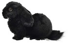 Bh8142 Hansa Holland Lop Black 33 Stuffed Animal Plush Doll