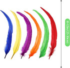 Natural Rooster Tail Feathers 50pcs 10-12inch Long Rooster Coque Tail Feathers B