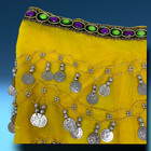 Belly Dancer Hip Scarf Skirt Rhinestones Jeweled Silver Coins   Bonus Scrunchie