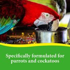 3-d Pet Products Premium Parrot Bird Food Seeds  With Probiotics  8 Lb  Bag  Dry