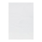 Pack Of 50 Bcw 16 X 24 Newspaper Acid Free 2-mil Clear Poly Sleeves 16x24