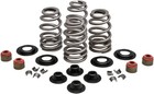 Kibblewhite Precision Performance Rebuild Ovate Wire Beehive Valve Spring Kits -