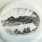 Cottonwood Falls Ks Kansas Antique Souvenir Rare China Dish Plate