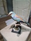 Stuffed Birds Taxidermy