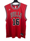 Pau Gasol Chicago Bulls Nba Adidas Men s Red Official Jersey - Medium