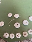 Lot Of Antique Vintage White Buttons