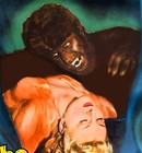The Wolf Man  1941   Huge 41 x79  Universal Horror Movie Poster - Ultra Rare  