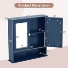 Wall Mount Mirror Cabinet  Medicine Cabinet Organizer For Bathroom  Blue