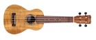 Cordoba 28s Koa Soprano Ukulele