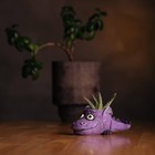 Flicker The Baby Dragon   Blob House Planter