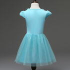 Disney Princess Elsa Anna Frozen Halloween Cosplay Dress Costume Dress For Girls