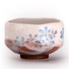 Happy Sales Hsmb-blfw4  Authentic Japanese Traditional Tea Ceremony Matcha    