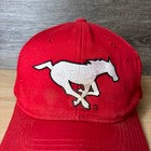 Vintage Calgary Stampeders Hat Cap Snapback Red Starter Cfl Football