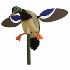 Mojo Outdoors Baby Mallard Drake Decoy And 2 Braided Cords   54  Rigs Lot Of 4