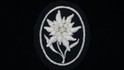 Ww2 German Wss-gebirgsj  ger Sleeve Edelweiss  Mint Original
