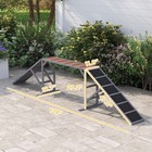 Dog Agility Equipment Ramp With Safety Bar  Non-slip Surface  Gray