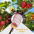 Fruit Picker Pole With Basket Telescoping  7ft Adjustable Fruit Picker Tool  Inn