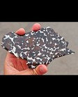 32g Sericho Pallasite Olive Meteorite Iron Slice- From Kenya Meteorite