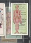 113 Yr Old Antique Full Set 50 Medical Cards First Aid Pre War Medicine Science