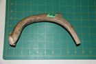 Large Straight Deer Antler Dog Chew  40   Bone Chews Deer Elk Treats Deer 1106