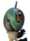 Hand Painted Dance Gourd Rattle  ceremonial  santa Fe Style New   Buffalo