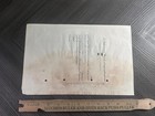1951 Stock Certificate Specimen - Commonwealth Stock Fund